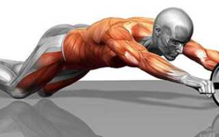 Гимнастическое колесо болит спина