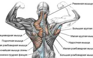От чего может болеть мышцы спины