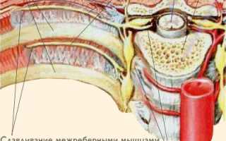 Болит спина и немеют ребра
