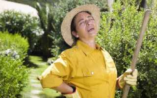 Болит спина при висении