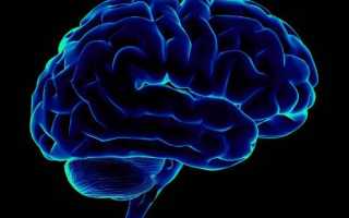 Сильно болит голова без температуры