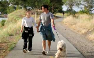 После работы болит спина лечение