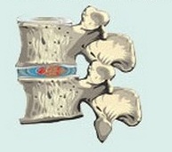 болит между ребер на спине