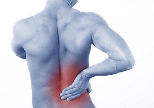 Советы, как избежать болей в спине и шее при долгом нахождении за рулем Советы, как избежать болей в спине и шее при долгом нахождении за рулем