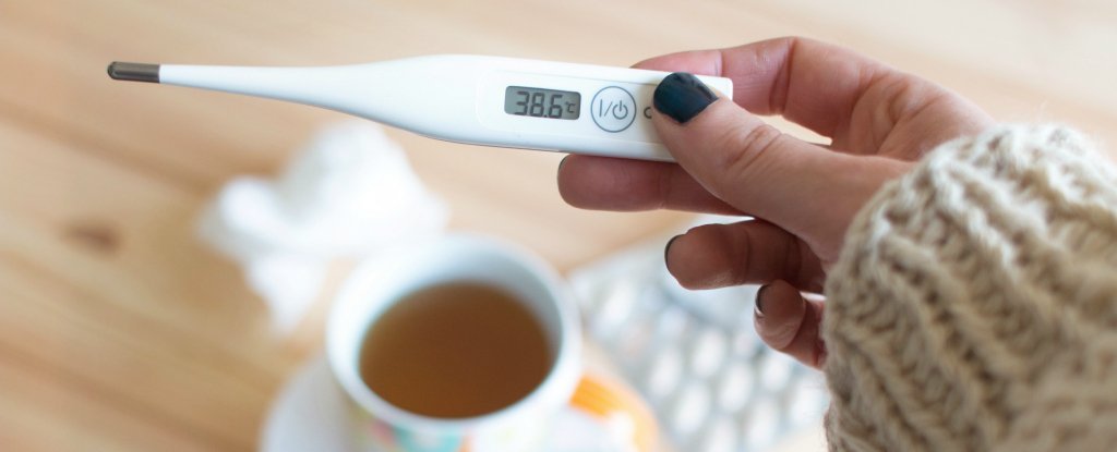 высокая температура