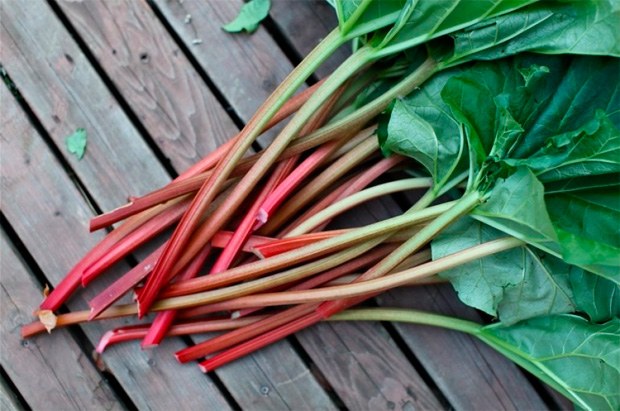 Правильное питание при запорах с болями в пояснице очень важно