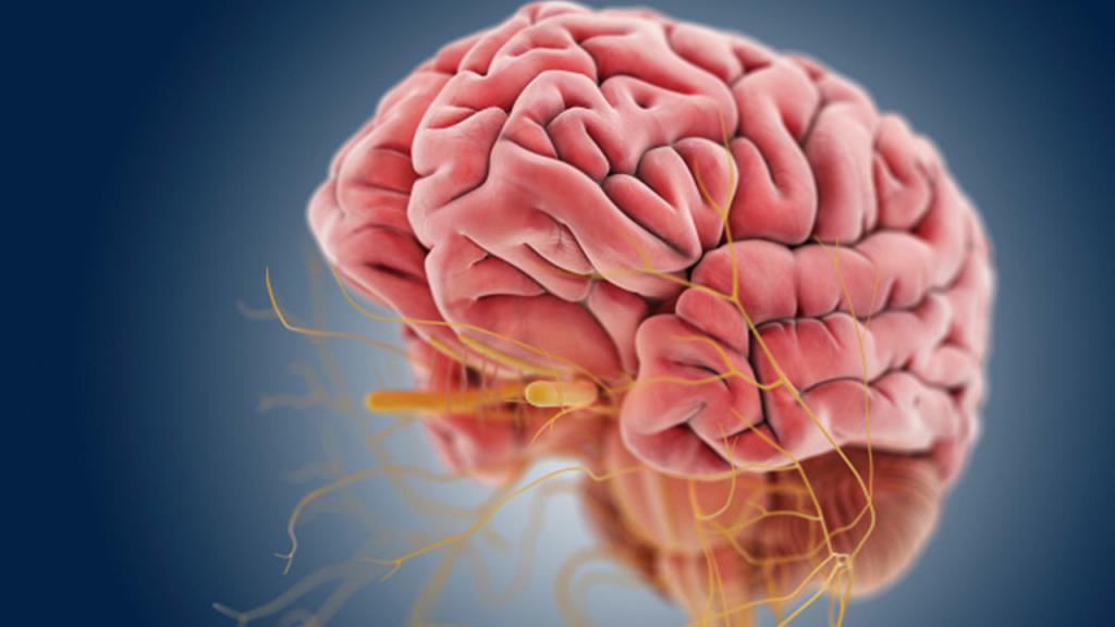 болит левый висок головы почему что делать