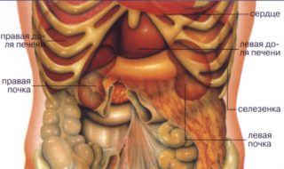 Под ребром на спине уплотнение и болит