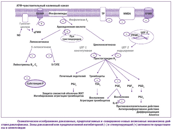 Действие диклофенака