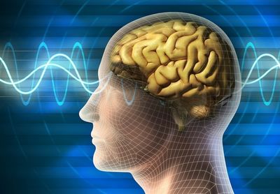 Сильная утомляемость болит голова