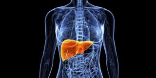 Что болит внизу ребра со спины