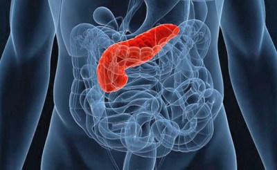 Что болит внизу ребра со спины