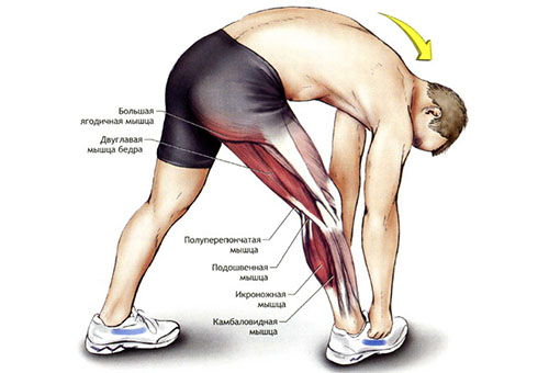 Боли у спортсменов