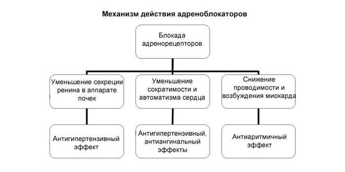 1537707260-tekst.jpg