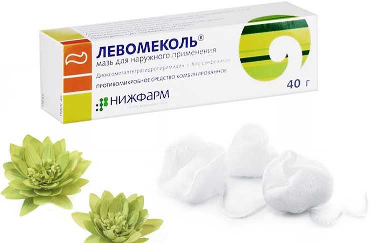 levomekol1.jpg